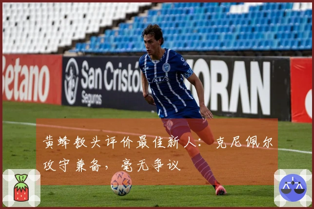 黄蜂教头评价最佳新人：克尼佩尔攻守兼备，毫无争议